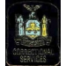 NEW YORK STATE CORRECTIONAL SERVICES LOGO PIN